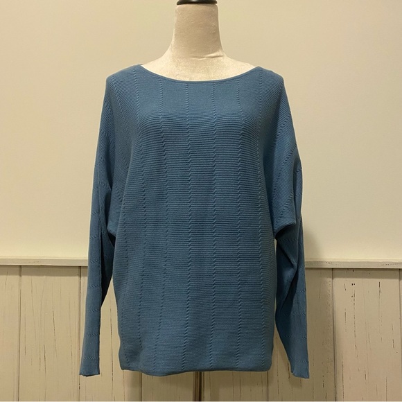NWT Cyrus Small Long Sleeve Blue Sweater - Picture 1 of 12